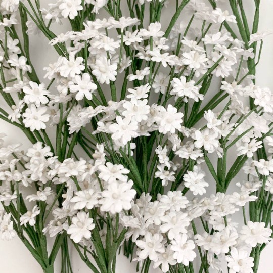 6 Stems of Small White Paper Baby's Breath ~ 3/8" across